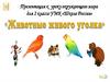 Животные живого уголка. Окружающий мир. 2 класс