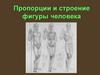 Пропорции и строение фигуры человека. Каноны изображения в Древнем Египте