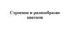 Строение и разнообразие цветков