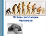 Этапы эволюции человека