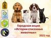 История спасенных животных