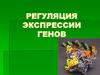 Регуляция экспрессии генов