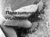 Паразитические плоские черви (Эндопаразиты)