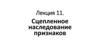 Сцепленное наследование признаков. Лекция 11