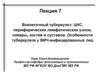 Внелегочный туберкулез: ЦНС, периферических лимфатических узлов, плевры, костей и суставов. Особенности туберкулеза