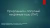 Природный и попутный нефтяные газы (ПНГ)