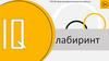 Лабиринт IQ. СПБ ГбУ «Дом молодежи приморского района»  (игра)