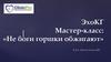ЭхоКГ. Мастер-класс: «Не боги горшки обжигают»