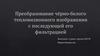Преобразование чёрно - белого тепловизионного изображения с последующей его фильтрацией