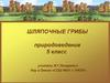 Шляпочные грибы. Природоведение. 5 класс