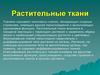 Растительные ткани