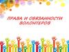 Права и обязанности волонтеров