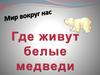 Где живут белые медведи?