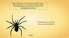 Тип Членистоногие. Класс Паукообразные, особенности строения и жизнедеятельности