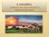 Саванна. Климат, растительный, и животный мир