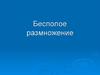 Бесполое размножение. Виды бесполого размножения
