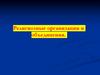 Религиозные организации и объединения