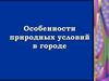 Особенности природных условий в городе