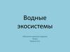 Водные экосистемы. Обитатели пресного водоема
