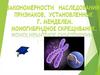 Закономерности наследования признаков, установленные Г. Менделем. Моногибридное скрещивание. Woholnpln the culeitinrvhn