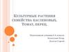 Культурные растения семейства Пасленовых. Томат, перец