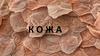 Кожа