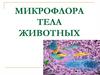 Микрофлора тела животных