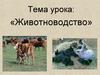 Животноводство
