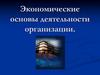 Экономические основы деятельности организации