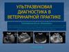 Ультразвуковая диагностика в ветеринарной практике