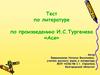 Тест по литературе по произведению И.С. Тургенева «Ася»