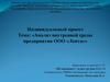 Анализ внутренней среды предприятия ООО "Лента"