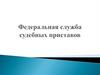 Федеральная служба судебных приставов Российской Федерации (ФССП России)