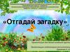 Загадки