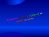 Значення грибів у природі та житті людини