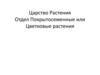 Царство Растения. Отдел Покрытосеменные или Цветковые растения