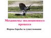 Механизмы эволюционного процесса. Формы борьбы за существование
