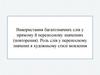 Використання багатозначних слів у прямому й переносному значеннях. Роль слів у переносному значенні в художньому стилі мовлення