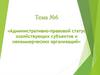 Административно-правовой статус хозяйствующих субъектов и некоммерческих организаций