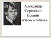 Александр Сергеевич Есенин «Песнь о собаке»