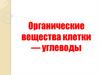 Органические вещества клетки — углеводы