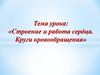 Строение и работа сердца. Круги кровообращения  (8 класс)