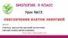 Обеспечение клеток энергией. Урок №13. 9 класс