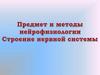 Предмет и методы нейрофизиологии. Строение нервной системы  (лекция 1)