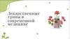 Лекарственные травы в современной медицине