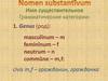 Имя существительное. Nomer substantivum