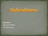 Subcultures. 9А класс