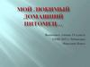 Мой любимый домашний питомец