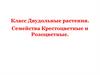 Класс Двудольные растения. Семейства Крестоцветные и Розоцветные