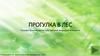 Интерактивная игра "Прогулка в лес". Основы безопасности собственной жизнедеятельности